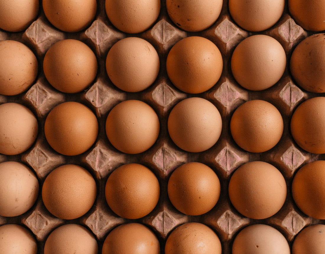 Rows of fresh brown eggs in a cardboard carton