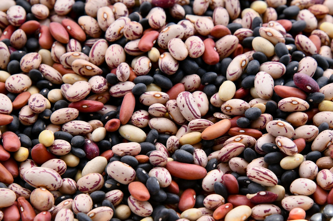 Assorted dried beans and legumes