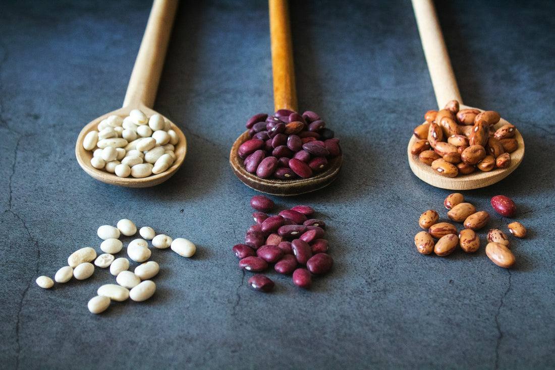Three wooden spoons holding different dried beans on a dark slate surface