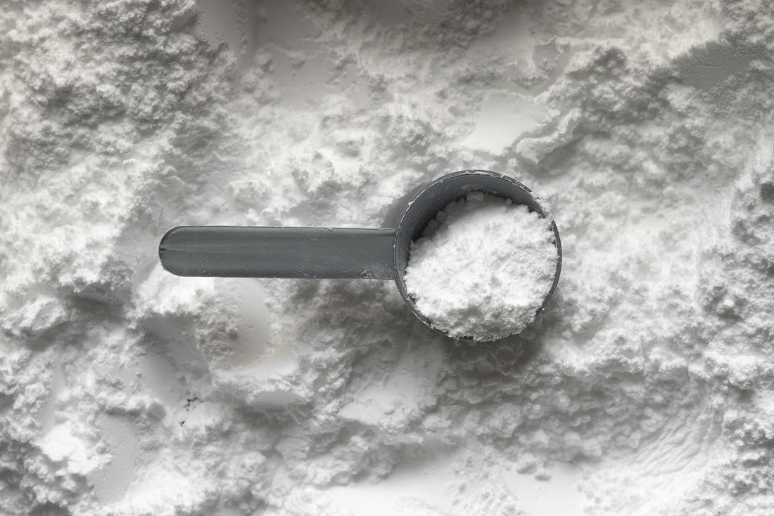A grey scoop filled with white supplement powder resting on a bed of powder