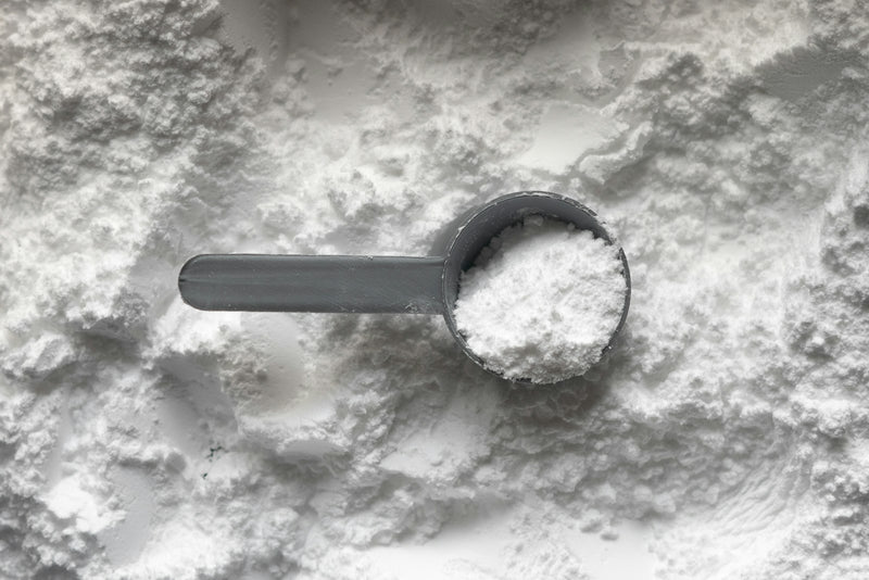 A grey scoop filled with white supplement powder resting on a bed of powder