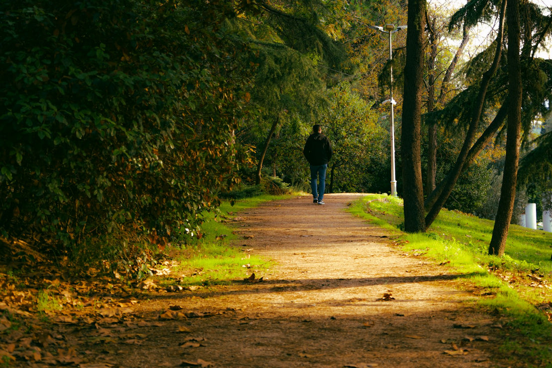 Person walking along a sunlit park path