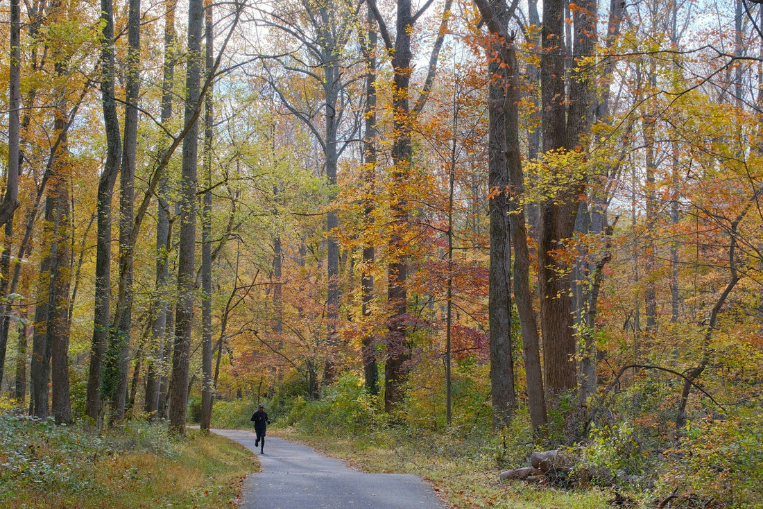 Person running on a woodland path among autumn trees