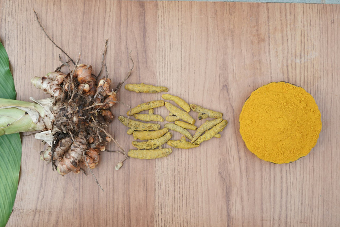 Fresh turmeric root, dried turmeric pieces, and bright golden turmeric powder arranged on a light wooden board.